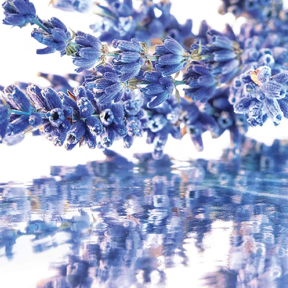 Guerlain Mon Guerlain - Image 4